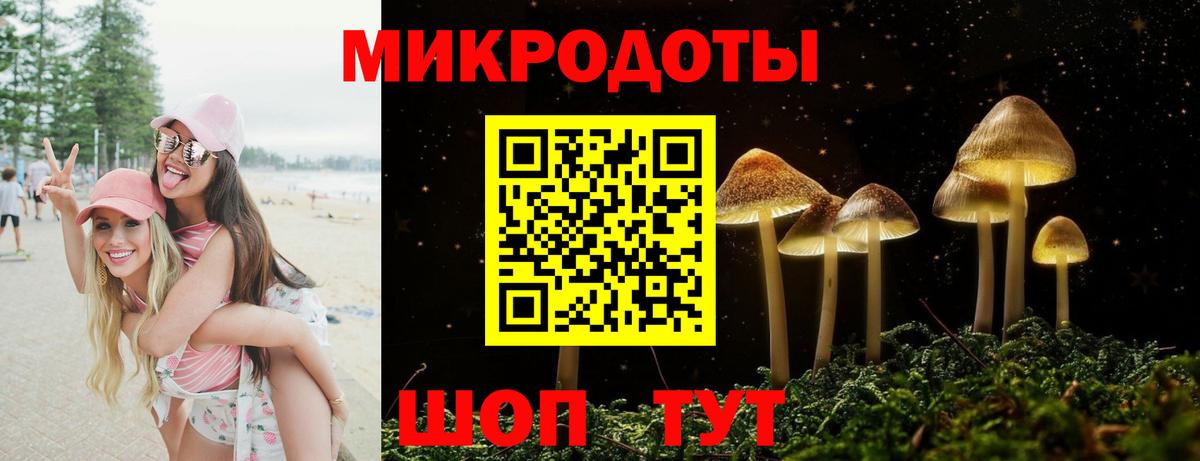 Псилоцибиновые грибы GOLDEN TEACHER Ухта