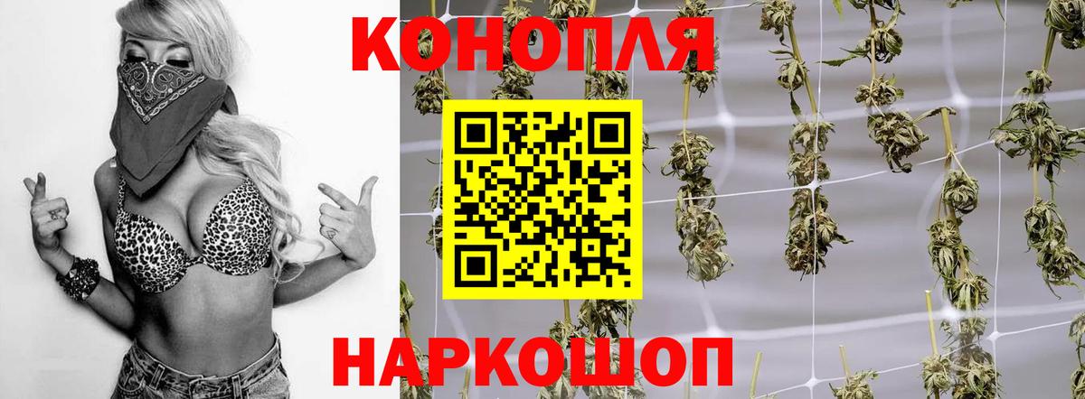 Канабис AK-47  Каннабис OG Kush  Ухта  Каннабис семена  Вход с VPN 
